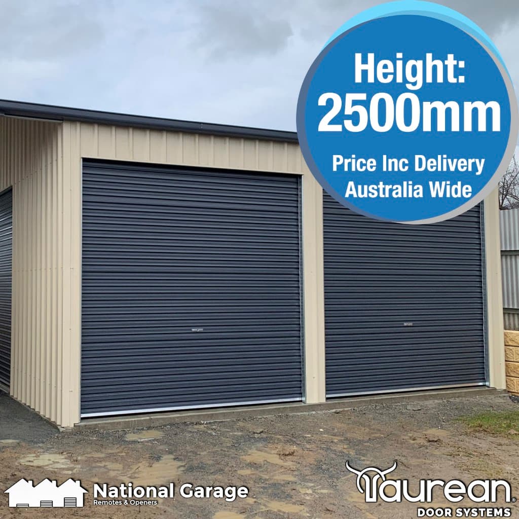 National Garage Remotes & Openers