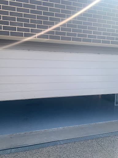 Crocodile Garage Door — Customer photo