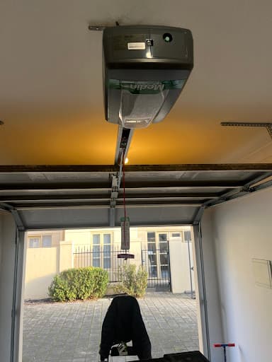 Crocodile Garage Door — Customer photo