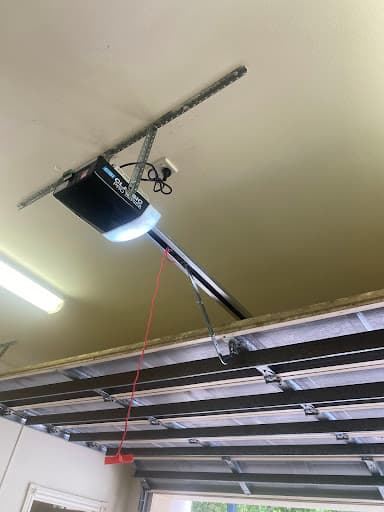 Crocodile Garage Door — Customer photo
